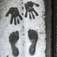 signer-image