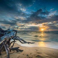 signer-image