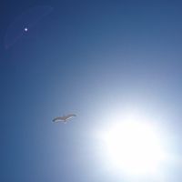 signer-image
