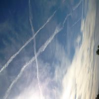 signer-image